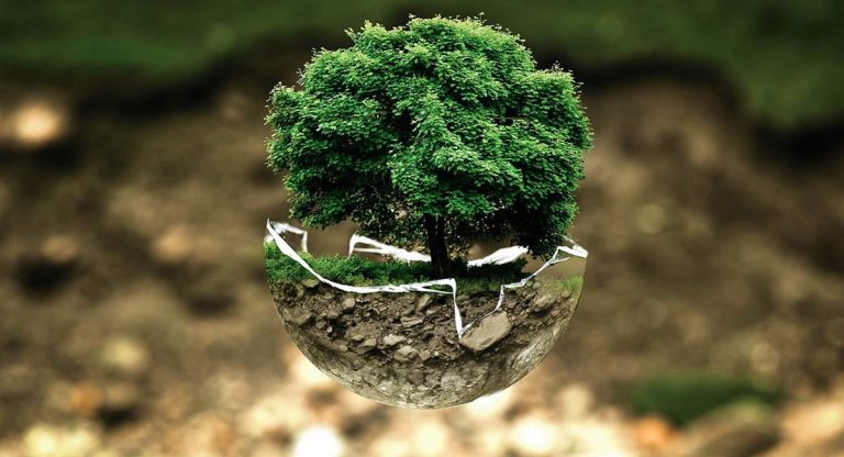 Medio Ambiente y Desarrollo Sostenible - Fichas de Profesiones